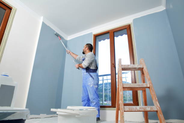 Best Attic Mold Removal  in Breckenridge Hills, MO