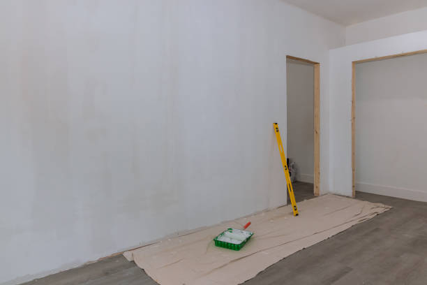 Best Mold Odor Removal Services  in Breckenridge Hills, MO