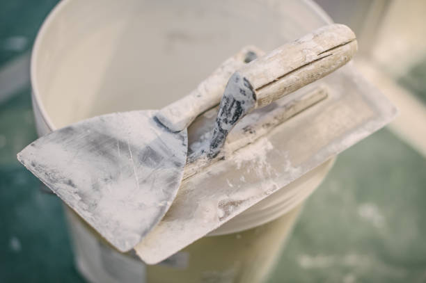 Best Real Estate Mold Inspection  in Breckenridge Hills, MO